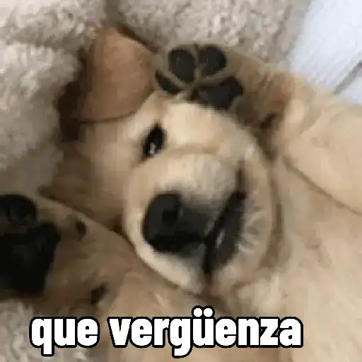 stickers_perros,_reacciones👑