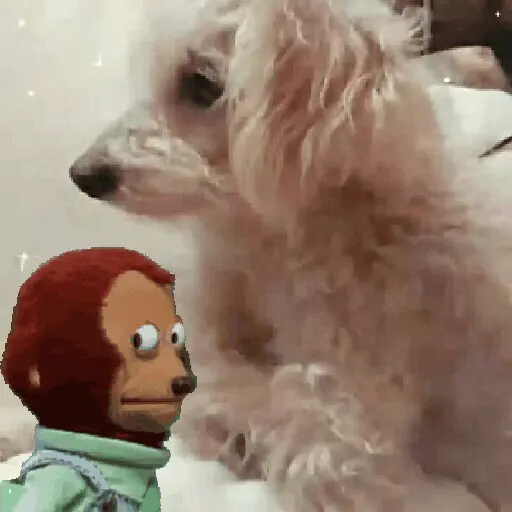 stickers_perros,_reacciones👑