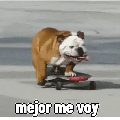 stickers_perros,_reacciones👑