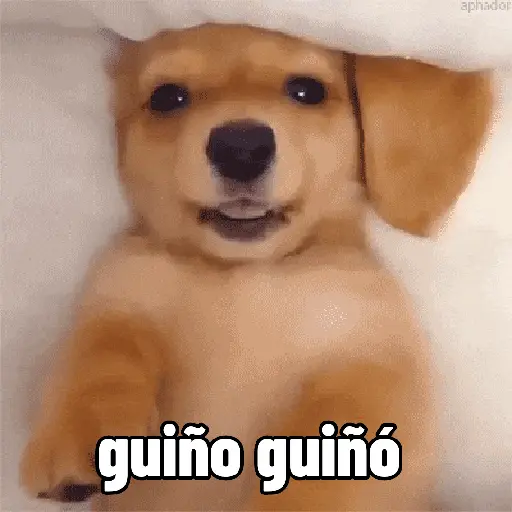 stickers_perros,_reacciones👑