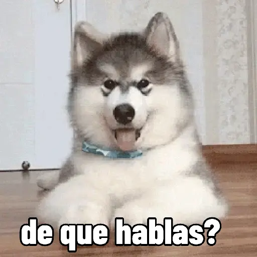 stickers_perros,_reacciones👑