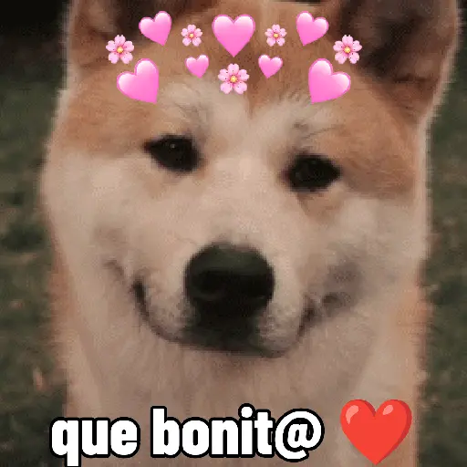stickers_perros,_reacciones👑