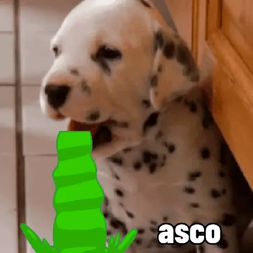 stickers_perros,_reacciones👑