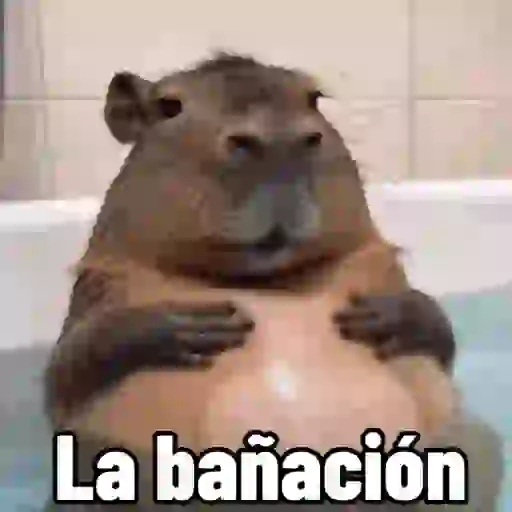 stickers_😎_ANIMADOS_CON_TEXTOS_😎