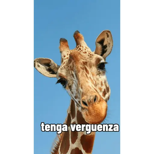 stickers_Mis_pegatinas