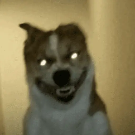 stickers_Memes_Tiktok_