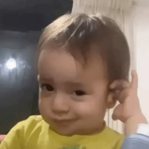stickers_Memes_Tiktok_