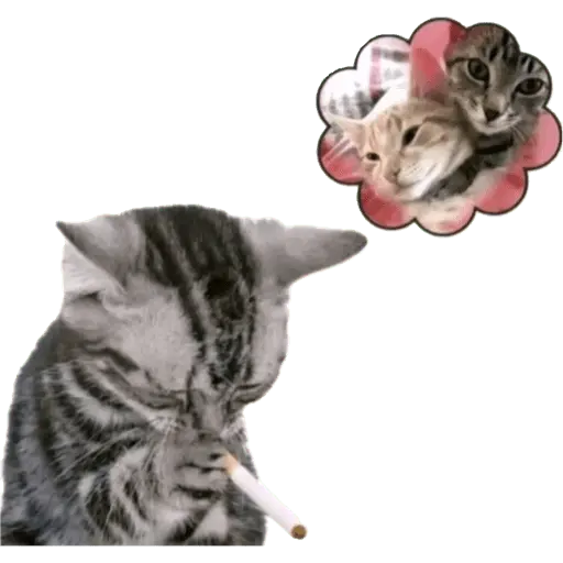 stickers_Comentarios_tiktok_