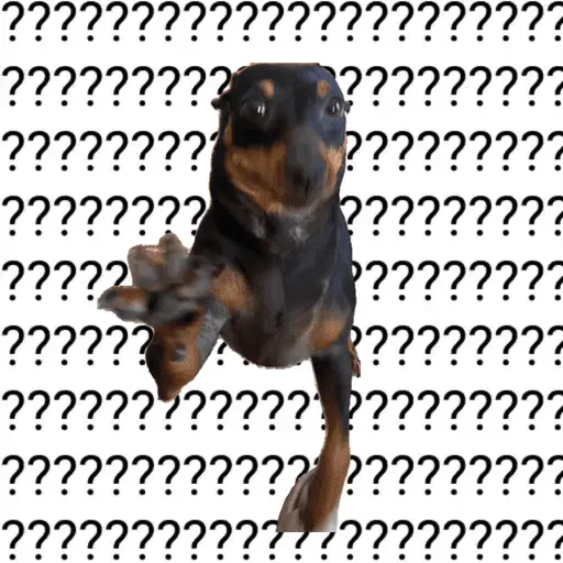 stickers_sexo_cn_animales_pequeños