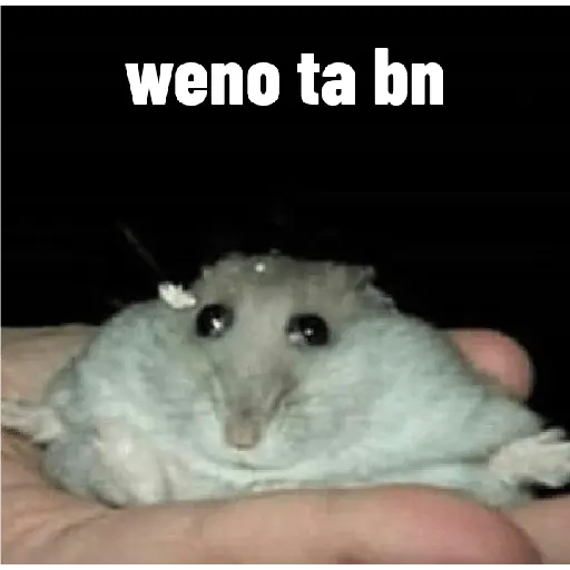 stickers_animales_ramdom