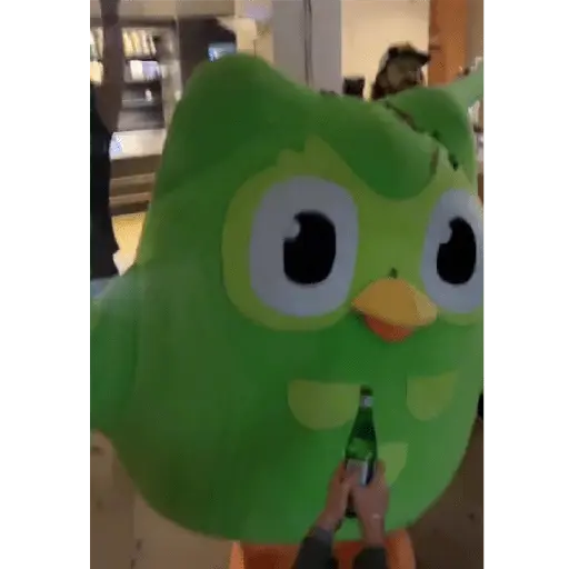 stickers_duolingo