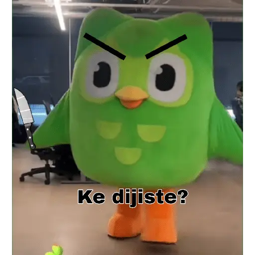 stickers_duolingo