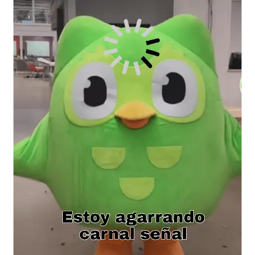 stickers_duolingo