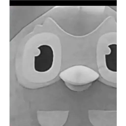 stickers_duolingo