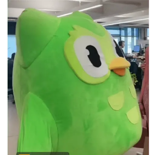 stickers_duolingo