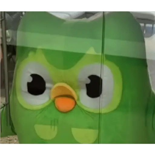 stickers_duolingo