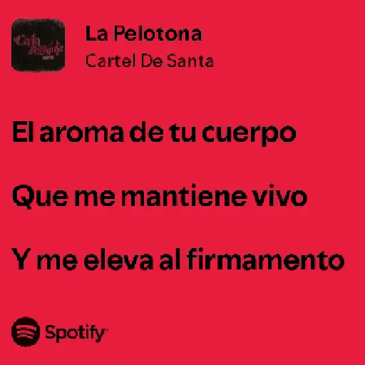 stickers_🫵🏼_Letras_de_canciones_🎶