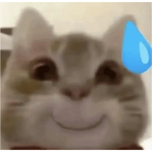stickers_meme_kucing_