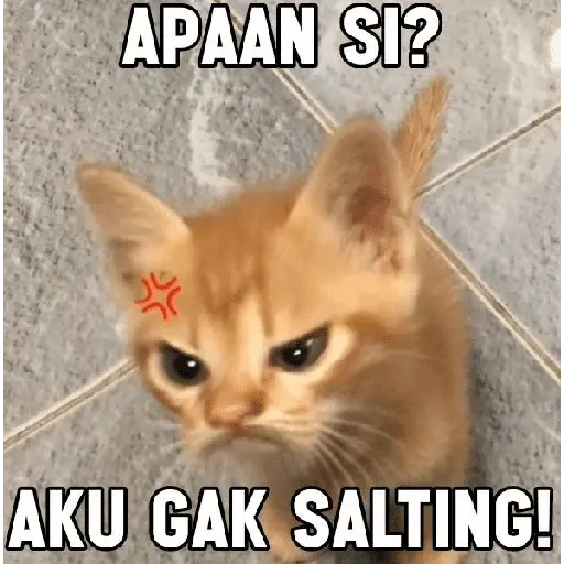 stickers_meme_kucing_