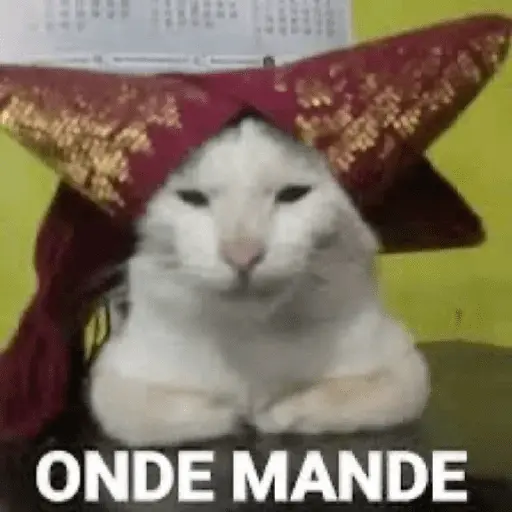 stickers_meme_kucing_