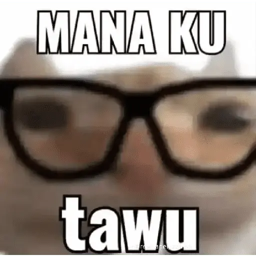 stickers_meme_kucing_