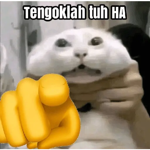 stickers_meme_kucing_