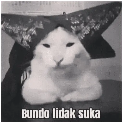 stickers_meme_kucing_