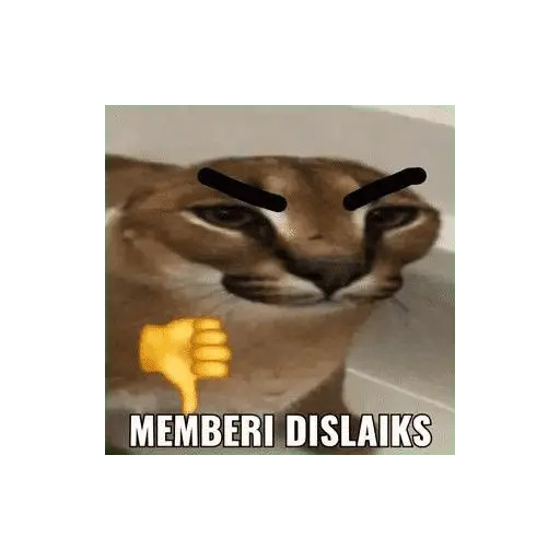 stickers_meme_kucing_