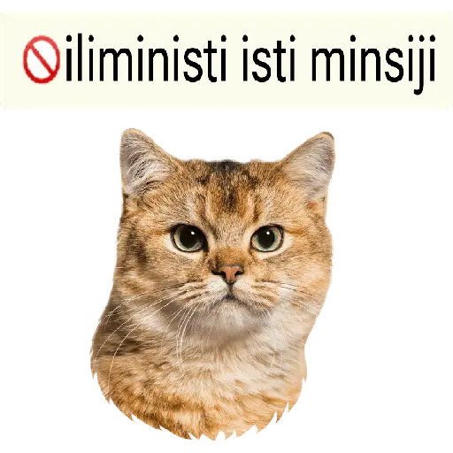 stickers_iliministi_isti_minsiji_😎