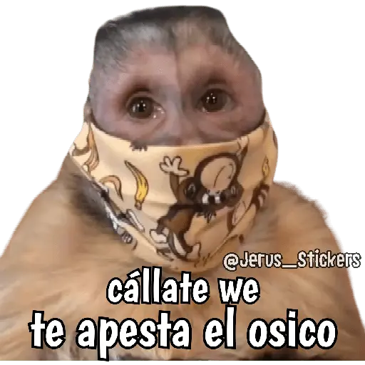 stickers_Monos_y_frases_💬🙊