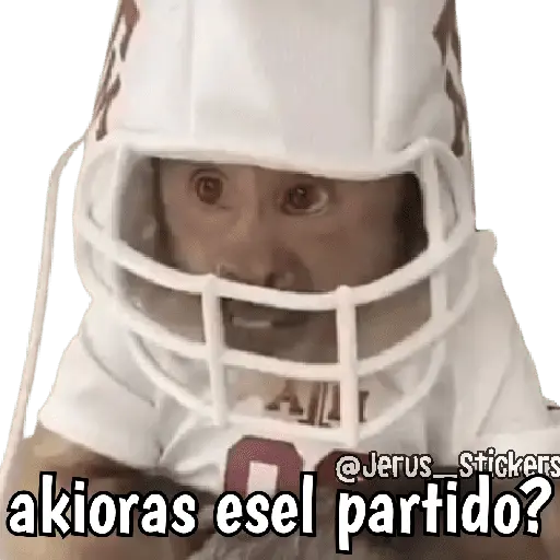 stickers_Monos_y_frases_💬🙊