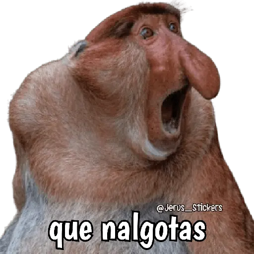 stickers_Monos_y_frases_💬🙊