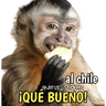 tray-icon