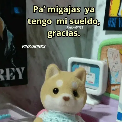 stickers_💥PAL_GRUPO💥💬_2