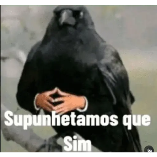 stickers_Meme._|_@ocenferios__𝐇aki.