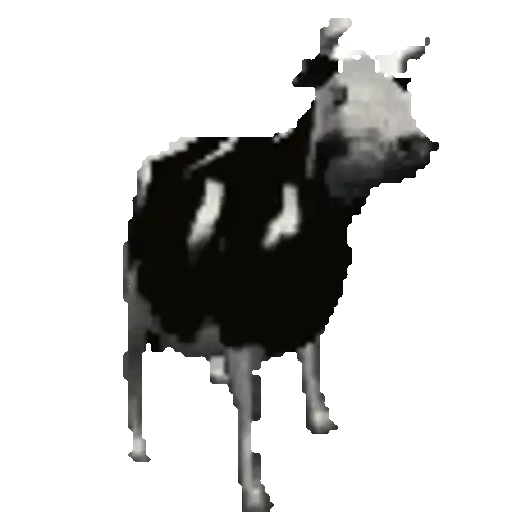 stickers_🕺Vacas_bailando_🐮🐄