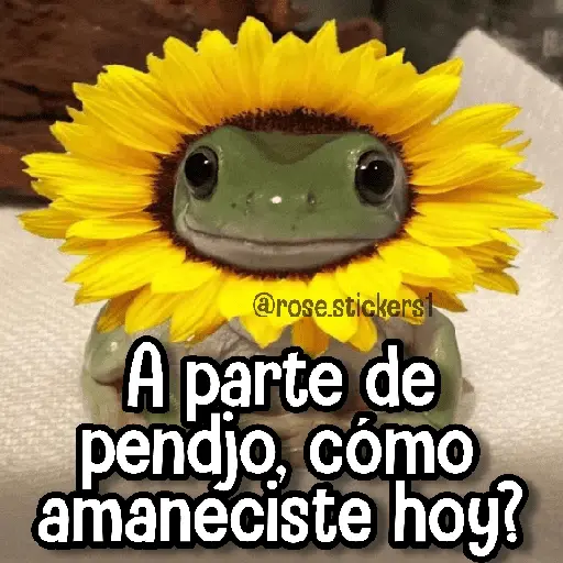 stickers_Memes_de_Animales🪴⭐