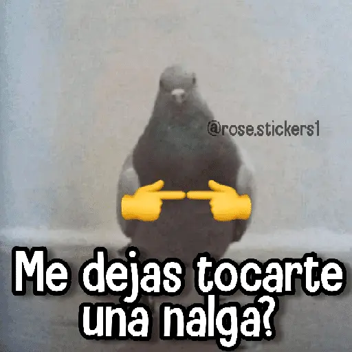 stickers_Memes_de_Animales🪴⭐