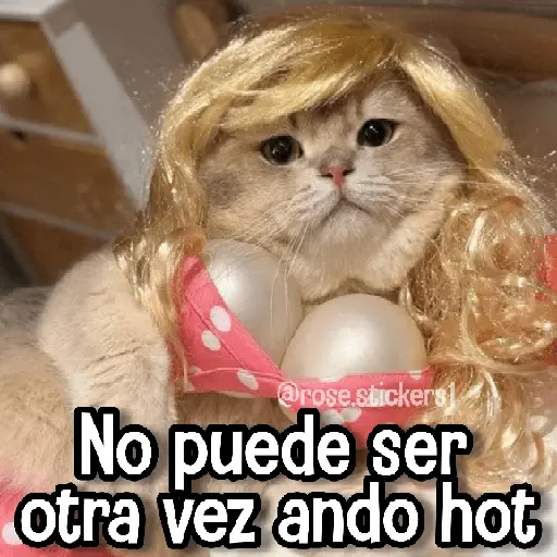 stickers_Memes_de_Animales🪴⭐
