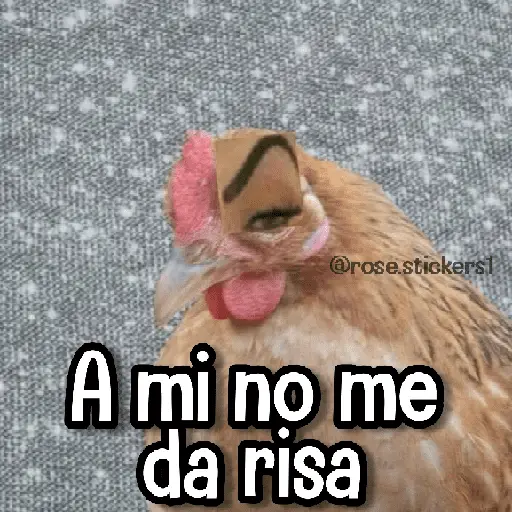 stickers_Memes_de_Animales🪴⭐