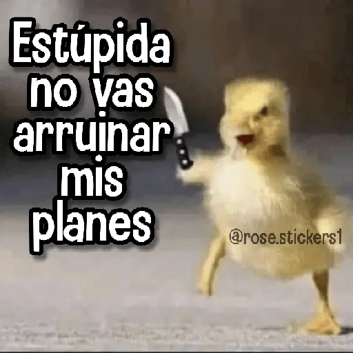 stickers_Memes_de_Animales🪴⭐