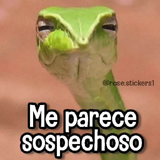 stickers_Memes_de_Animales🪴⭐