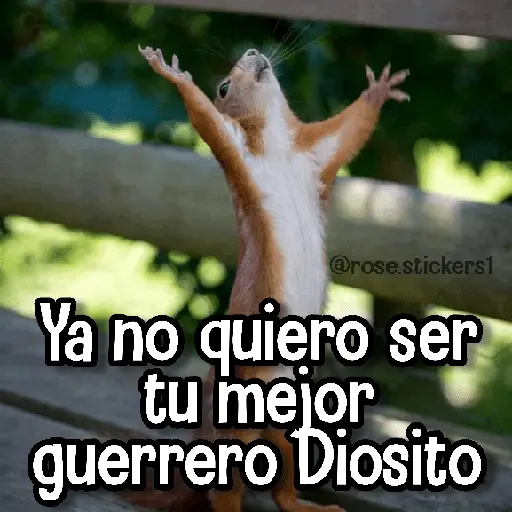 stickers_Memes_de_Animales🪴⭐