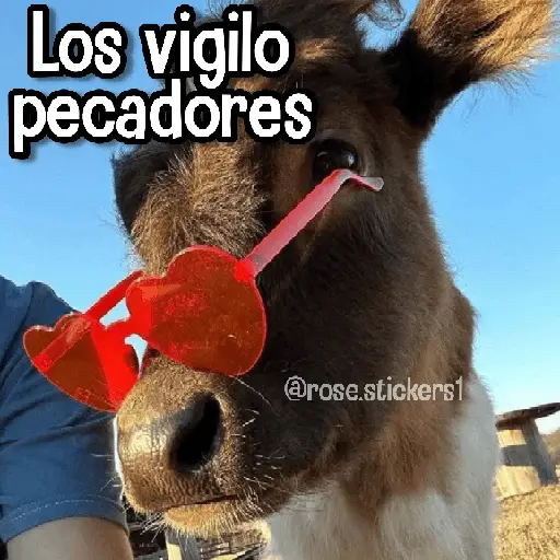 stickers_Memes_de_Animales🪴⭐