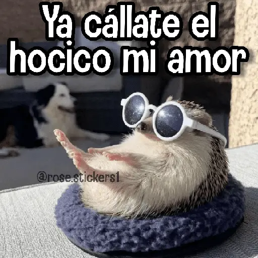 stickers_Memes_de_Animales🪴⭐