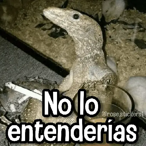 stickers_Memes_de_Animales🪴⭐