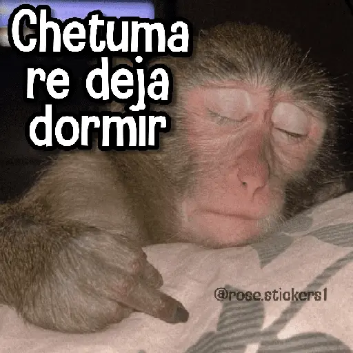 stickers_Memes_de_Animales🪴⭐