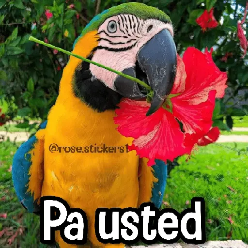 stickers_Memes_de_Animales🪴⭐