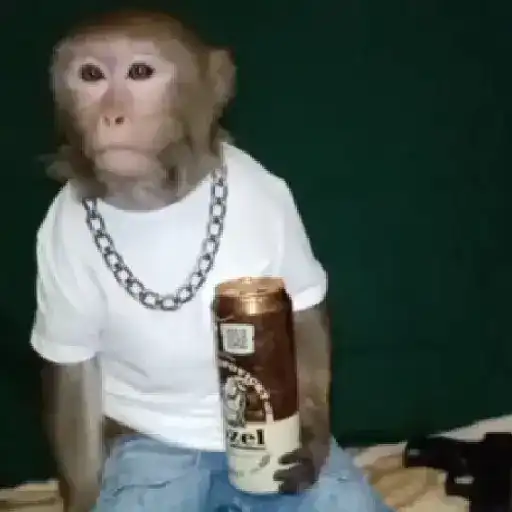 stickers_monos_y_changuitos_⁷_🦧🦍🐒