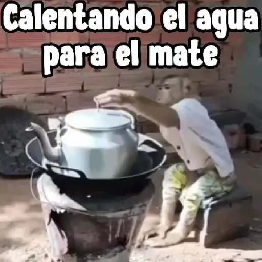 stickers_monos_y_changuitos_⁷_🦧🦍🐒